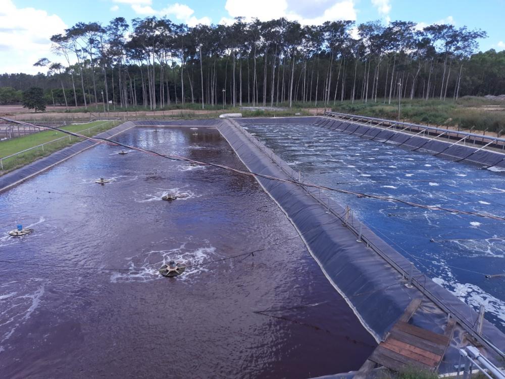 Imagem: Reprodução 