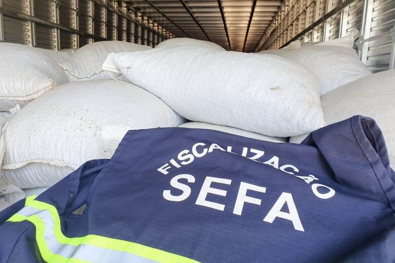 Foto: Reprodução/Secom Pará