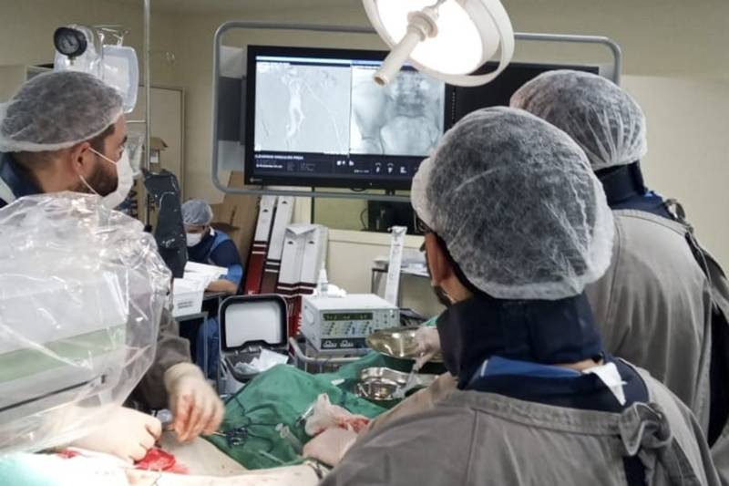 Foto: Reprodução/Secom Pará