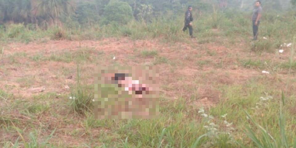 (imagem: reprodução)