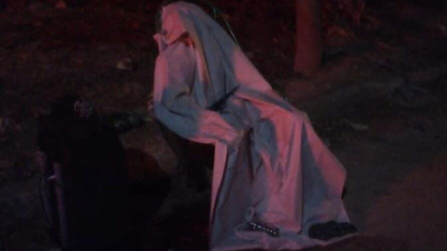 (imagem: reprodução)