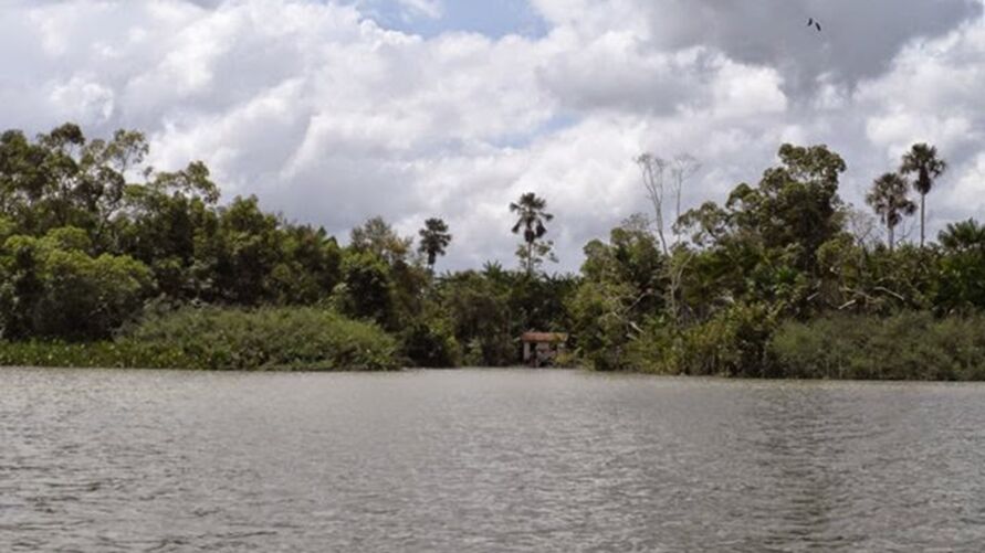 (imagem: reprodução)