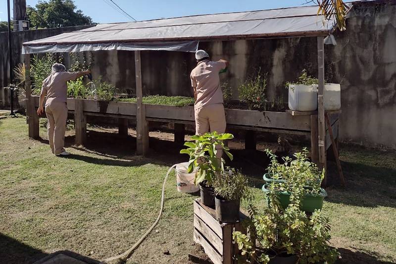 Foto: Reprodução/Secom Pará