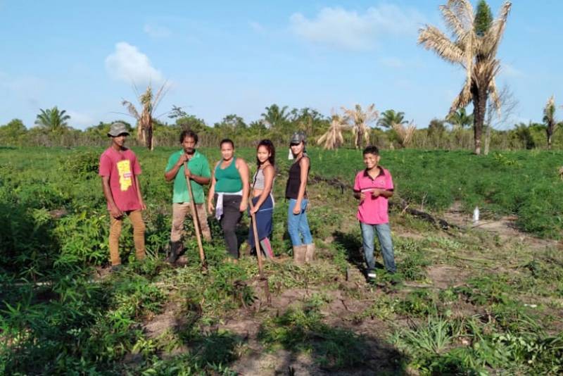 Foto: Reprodução/Secom Pará