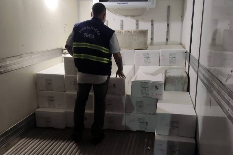 Foto: Reprodução/Secom Pará