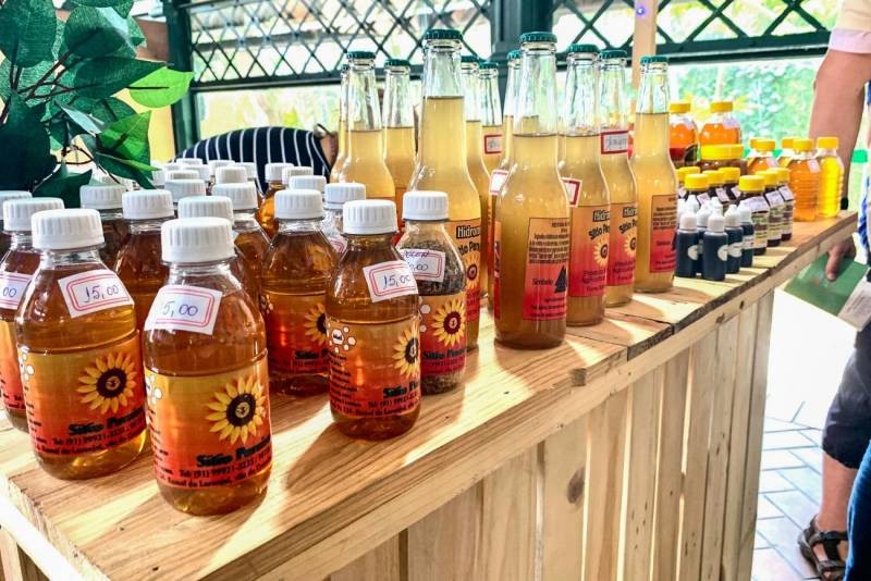 Foto: Reprodução/Secom Pará