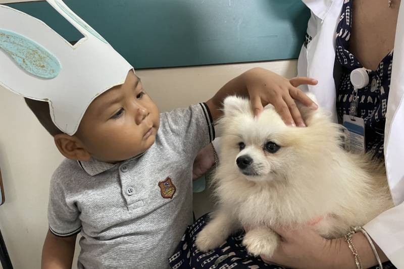 Foto: Reprodução/Secom Pará