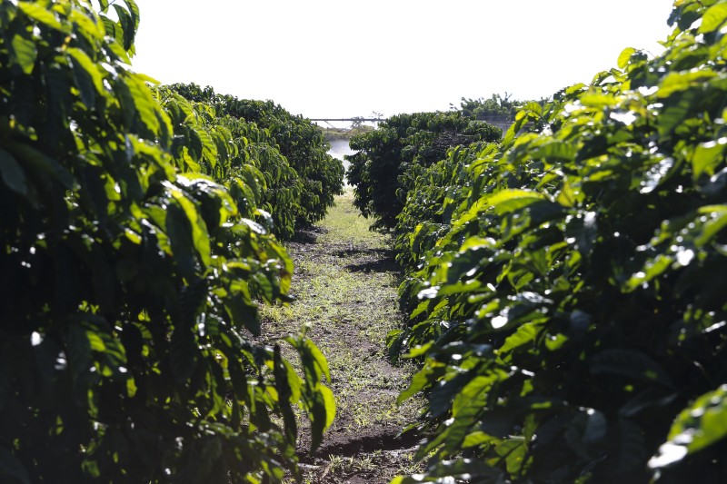 © Valter Campanato/Agência Brasil