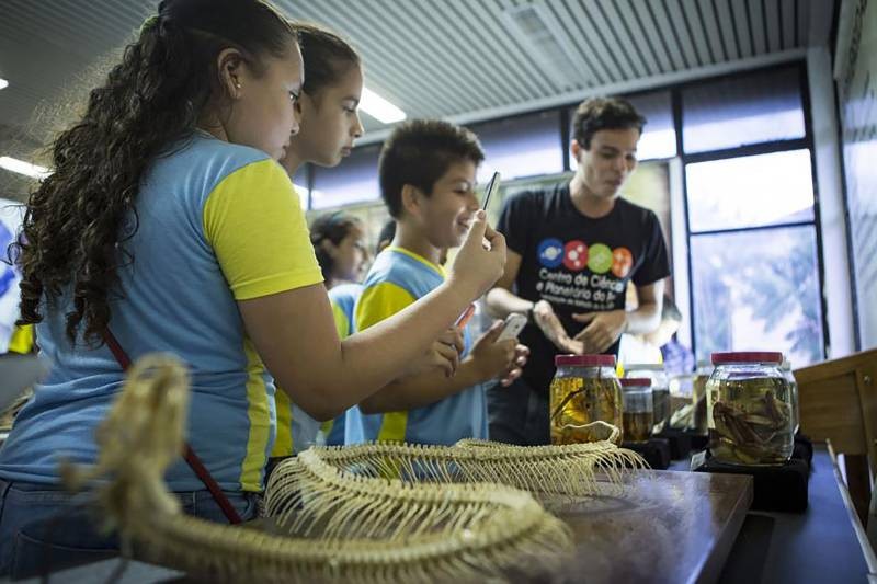 Foto: Reprodução/Secom Pará