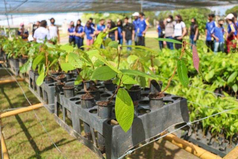 Foto: Reprodução/Secom Pará