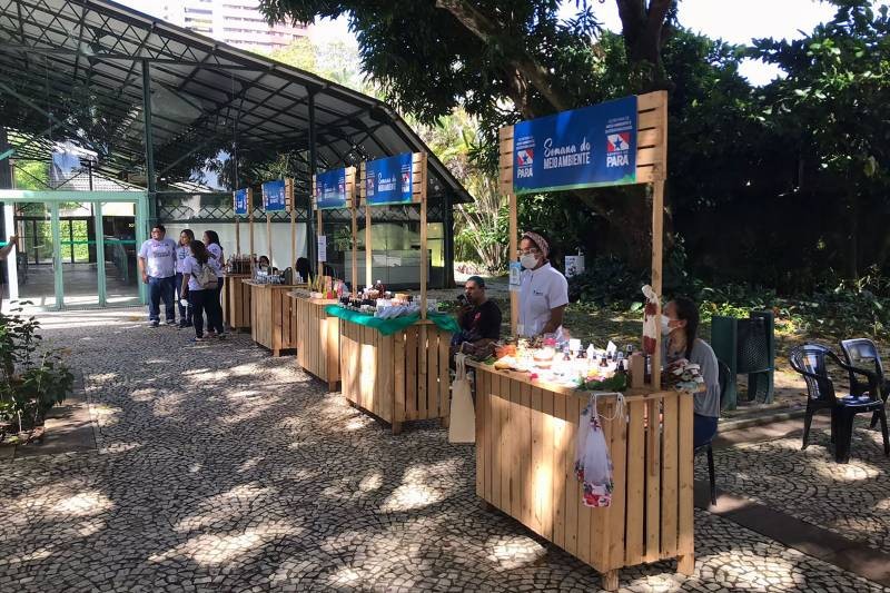 Foto: Reprodução/Secom Pará