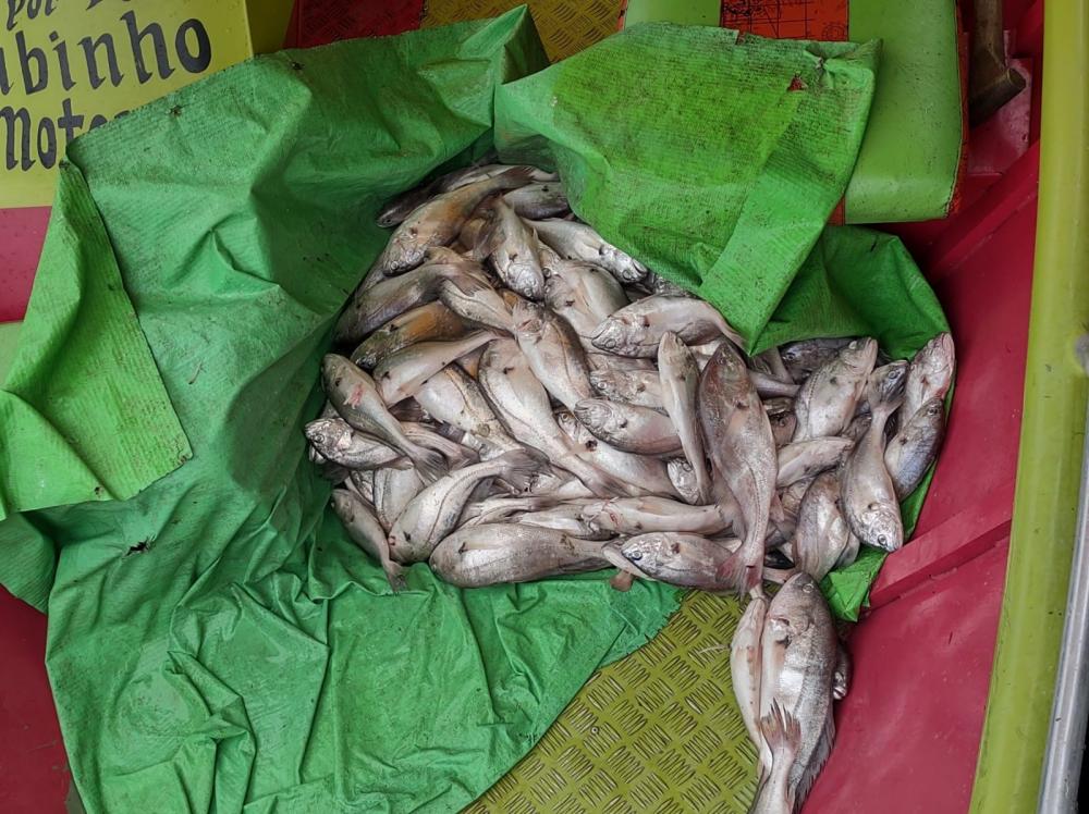 foto: secretaria da Pesca de Limoeiro do Araju