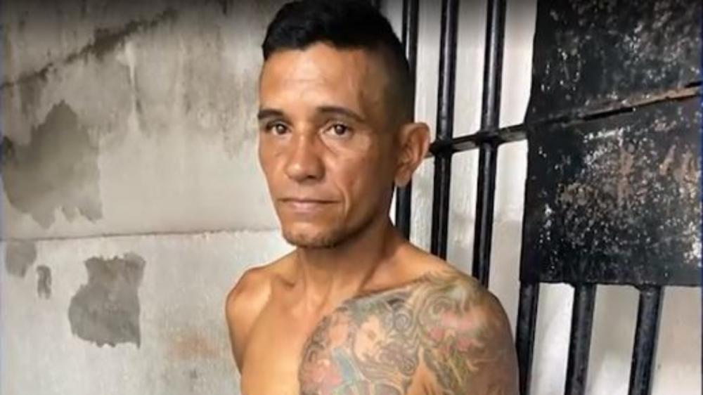 reprodução redes sociais