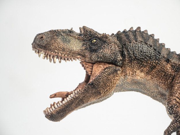 Hodak estima que projeto poderia ser concretizado em apenas 15 anos - (Foto: Freepik)