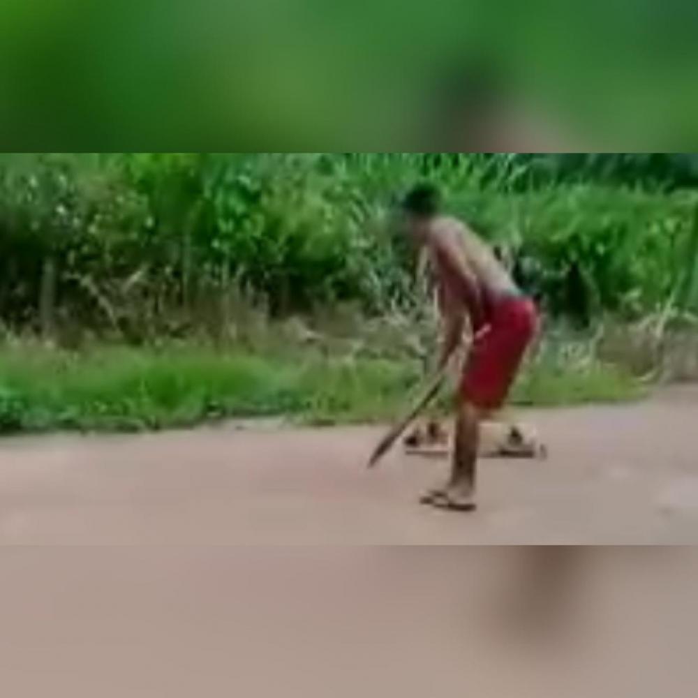 reprodução redes sociais