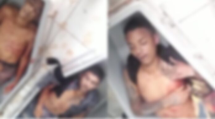 reprodução redes sociais