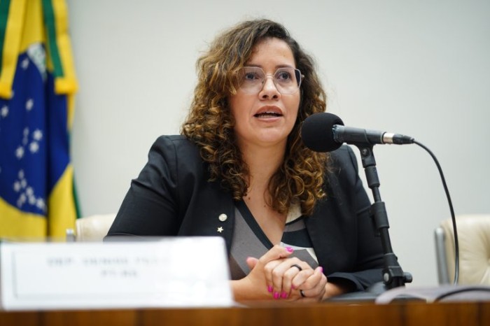 Deputada Denise Pessôa, autora da proposta - (Foto: Pablo Valadares / Câmara dos Deputados)