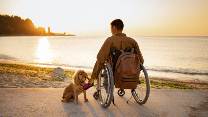 Participe da pesquisa de perfil do turista com deficiência ou mobilidade reduzida. Crédito: Freepik