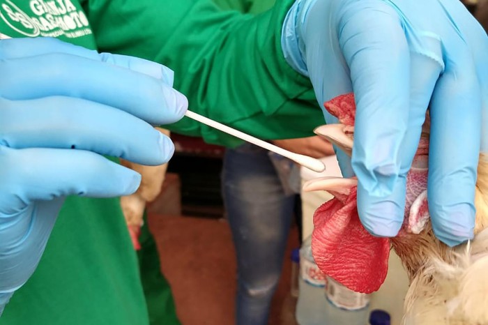 Crédito: Divulgação