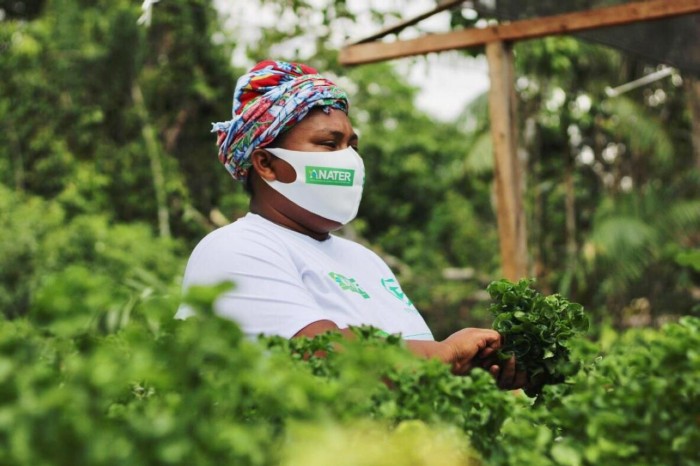 Crédito: Divulgação