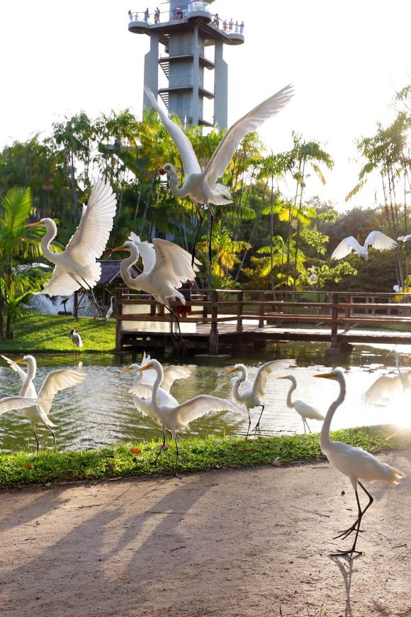 Crédito: Bruno Cecim / Ag.Pará