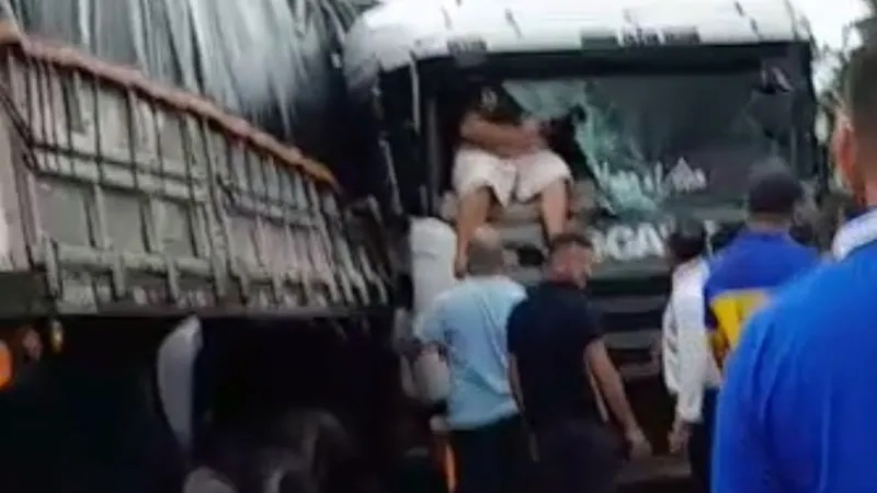 reprodução redes sociais