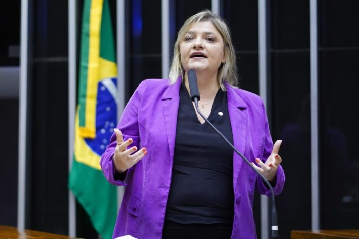 Professora Luciene: benefício da geração de eletricidade se contrapõe a enormes danos - (Foto: Pablo Valadares / Câmara dos Deputados)