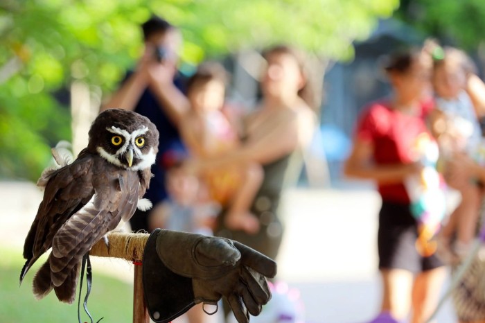 Crédito: Bruno Cecim / Ag.Pará