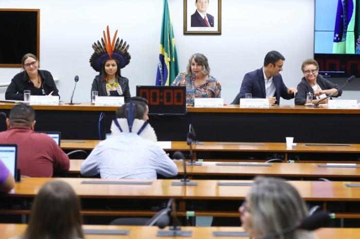 Erika Kokay (C) elogiou a criação do Observatório dos Povos Indígenas pela UnB - (Foto: Vinicius Loures/Câmara dos Deputados)