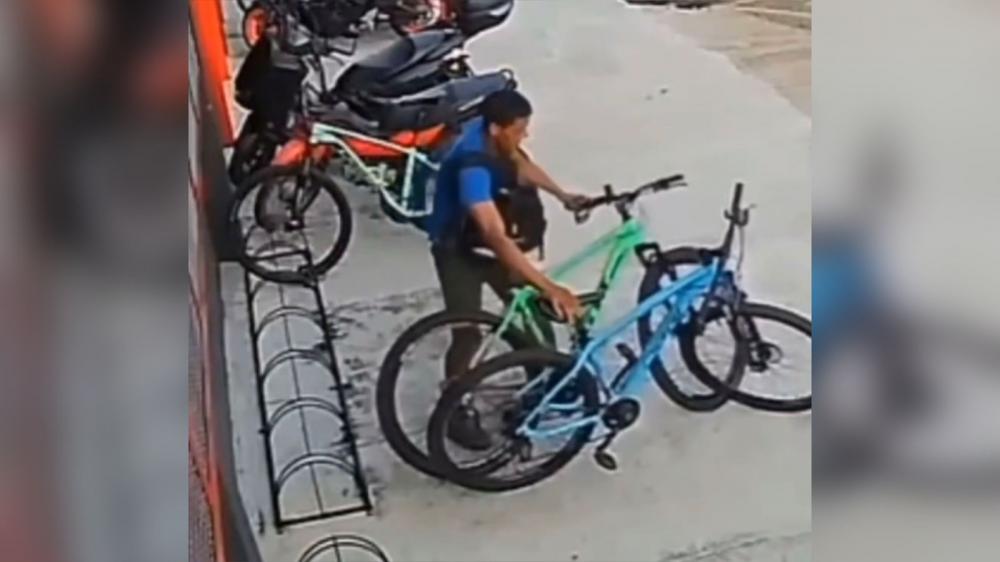 reprodução redes sociais