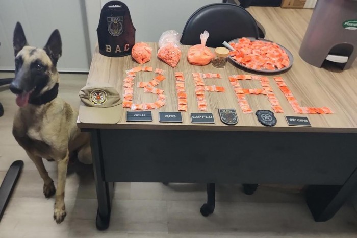 Crédito: Divulgação