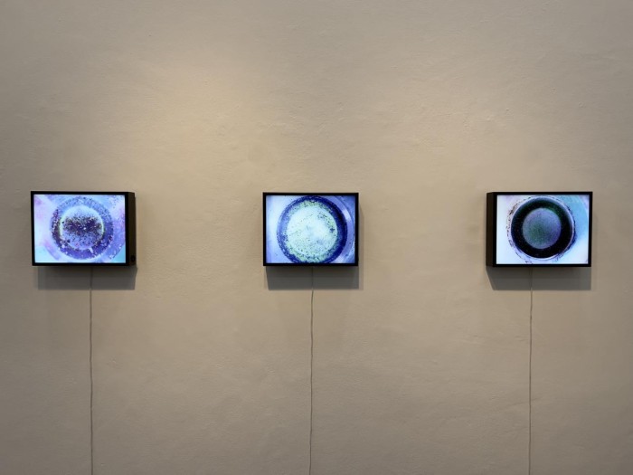 Crédito: Divulgação