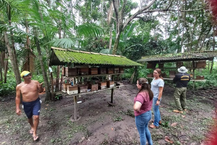 Crédito: Divulgação