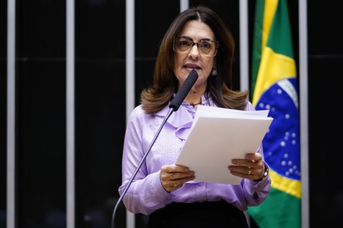 A relatora, deputada Rogéria Santos - (Foto: Pablo Valadares/Câmara dos Deputados)
