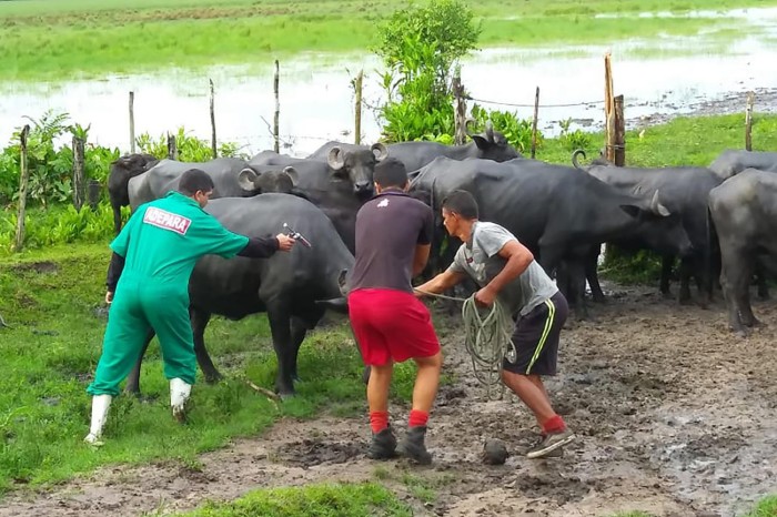 Crédito: Divulgação