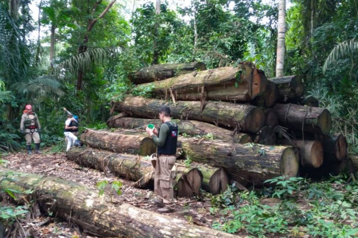 Crédito: ASCOM / SEGUP