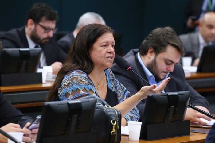 A relatora, deputada Laura Carneiro, recomendou a aprovação da proposta - (Foto: Vinicius Loures/Câmara dos Deputados)