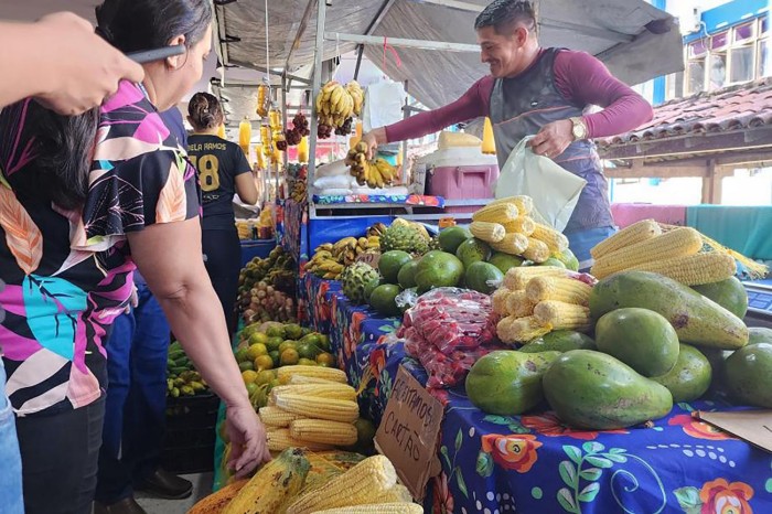 Crédito: Fernanda Martins / Ascom Uepa