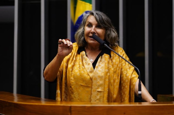 Erika Kokay solicitou a realização da audiência pública - (Foto: Pablo Valadares/Câmara dos Deputados)
