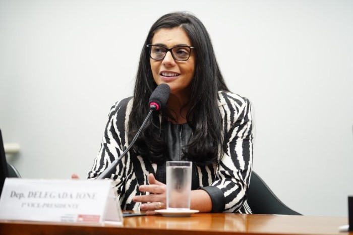 Delegada Ione: o Estado deve promover ações afirmativas - (Foto: Pablo Valadares/Câmara dos Deputados)