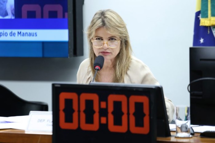 Flávia Morais, relatora da proposta na Comissão de Saúde - (Foto: Billy Boss/Câmara dos Deputados)