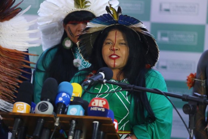 A ministra dos Povos Indígenas, Sonia Guajajara - (Foto: Vinicius Loures/Câmara dos Deputados)