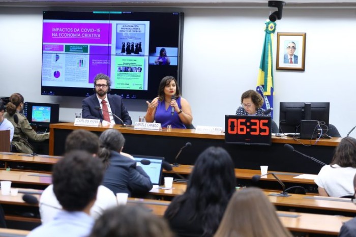 Pesquisadores apresentaram estudo sobre os efeitos da Lei Aldir Blanc na economia - (Foto: Vinicius Loures/Câmara dos Deputados)