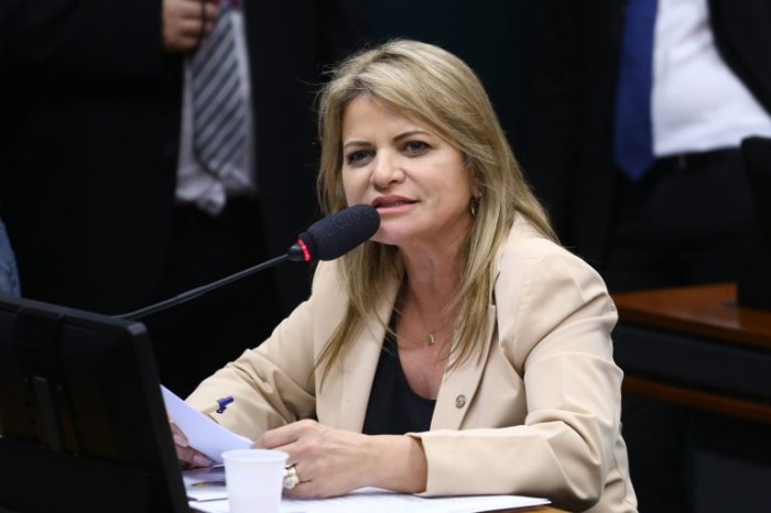 Deputada Flavia Morais propôs a audiência - (Foto: Bruno Spada/Câmara dos Deputados)