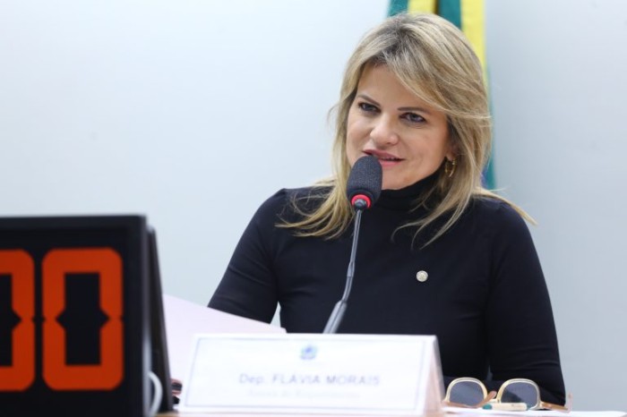Flávia Morais recomendou a aprovação da proposta - (Foto: Vinicius Loures/Câmara dos Deputados)