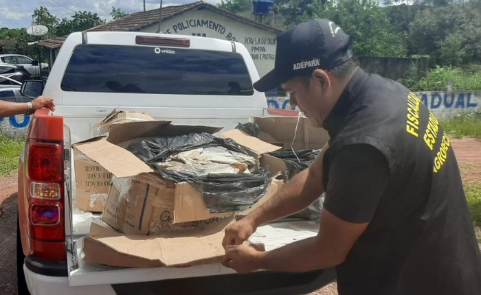 Crédito: Divulgação