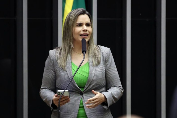 Clarissa Tercio recomendou a aprovação da proposta - (Foto: Bruno Spada/Câmara dos Deputados)