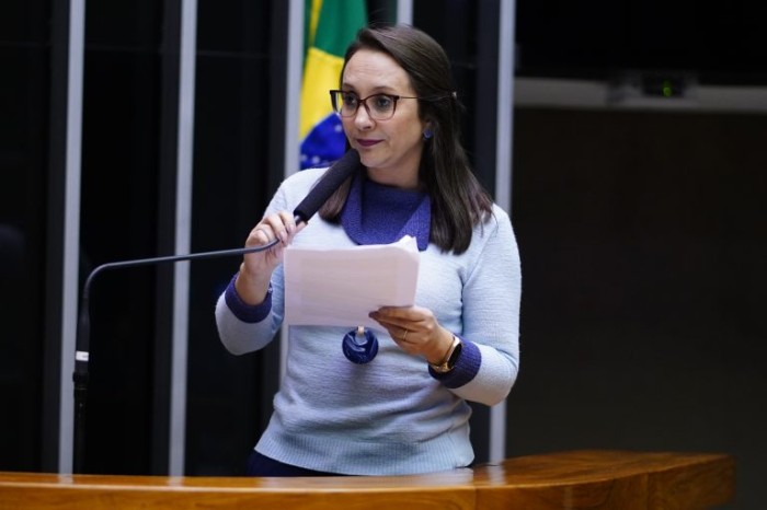 Renata Abreu: intenção é não deixar decisões à mercê de jurisprudências - (Foto: Pablo Valadares/Câmara dos Deputados)