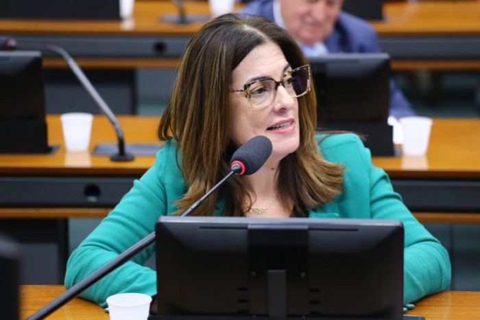 A deputada Rogéria Santos considera que o projeto vai atualizar a legislação brasileira sobre a instituição de datas comemorativas - (Foto: Vinicius Loures/Câmara dos Deputados)