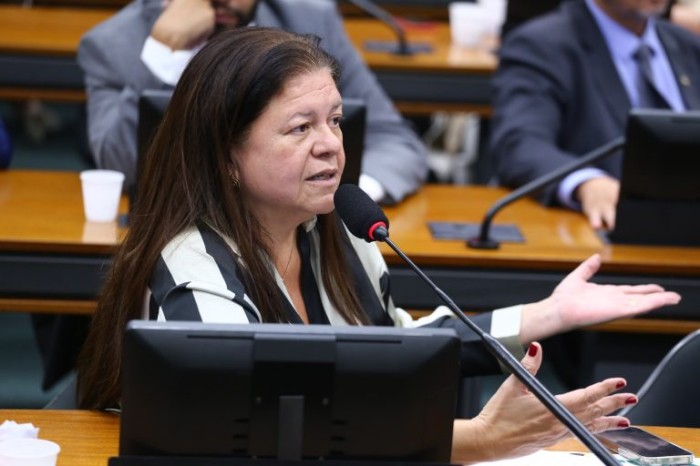Laura Carneiro argumenta que crianças e adolescente são afetados pela violência mesmo quando não são as vítimas diretas - (Foto: Vinicius Loures/Câmara dos Deputados)